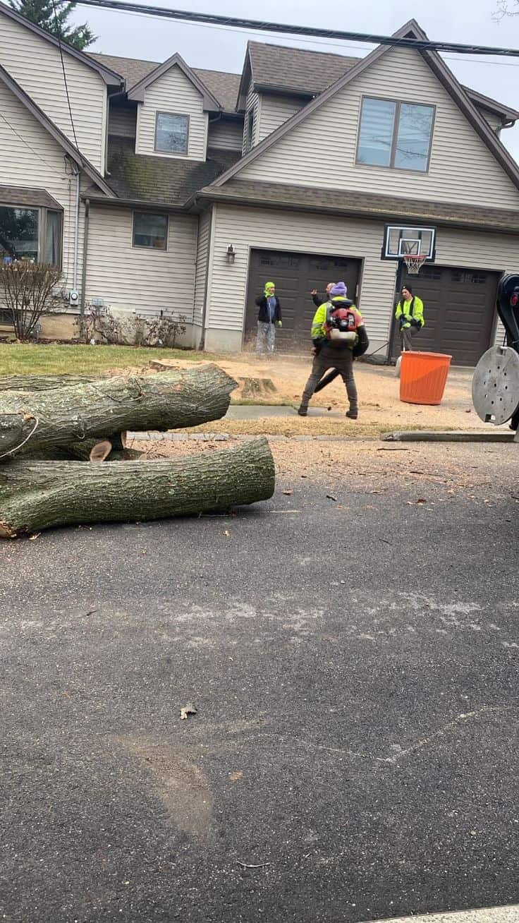Tree service team in Hood River Oregon