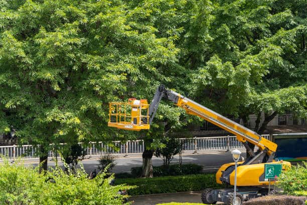 Fire prevention and land clearing